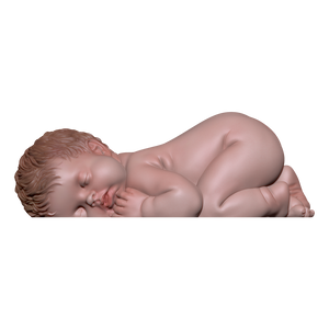 Sleeping Baby 3 - Medium
