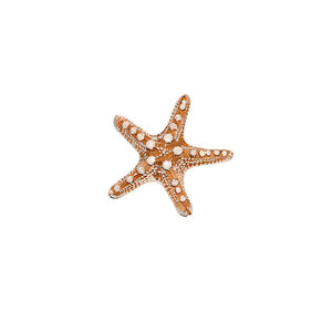 Lone Starfish