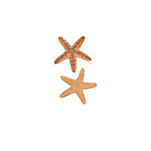 Mini Starfish Set 2