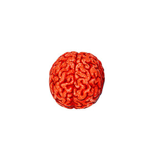 Large Brain